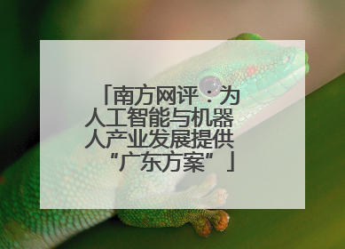 南方网评：为人工智能与机器人产业发展提供“广东方案”